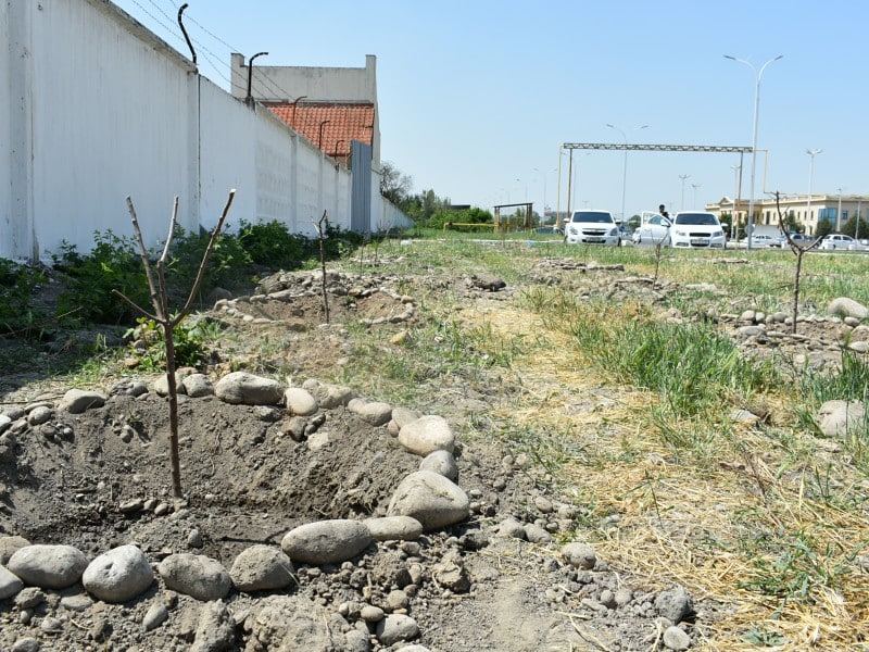 photo2022-05-1114-32-38