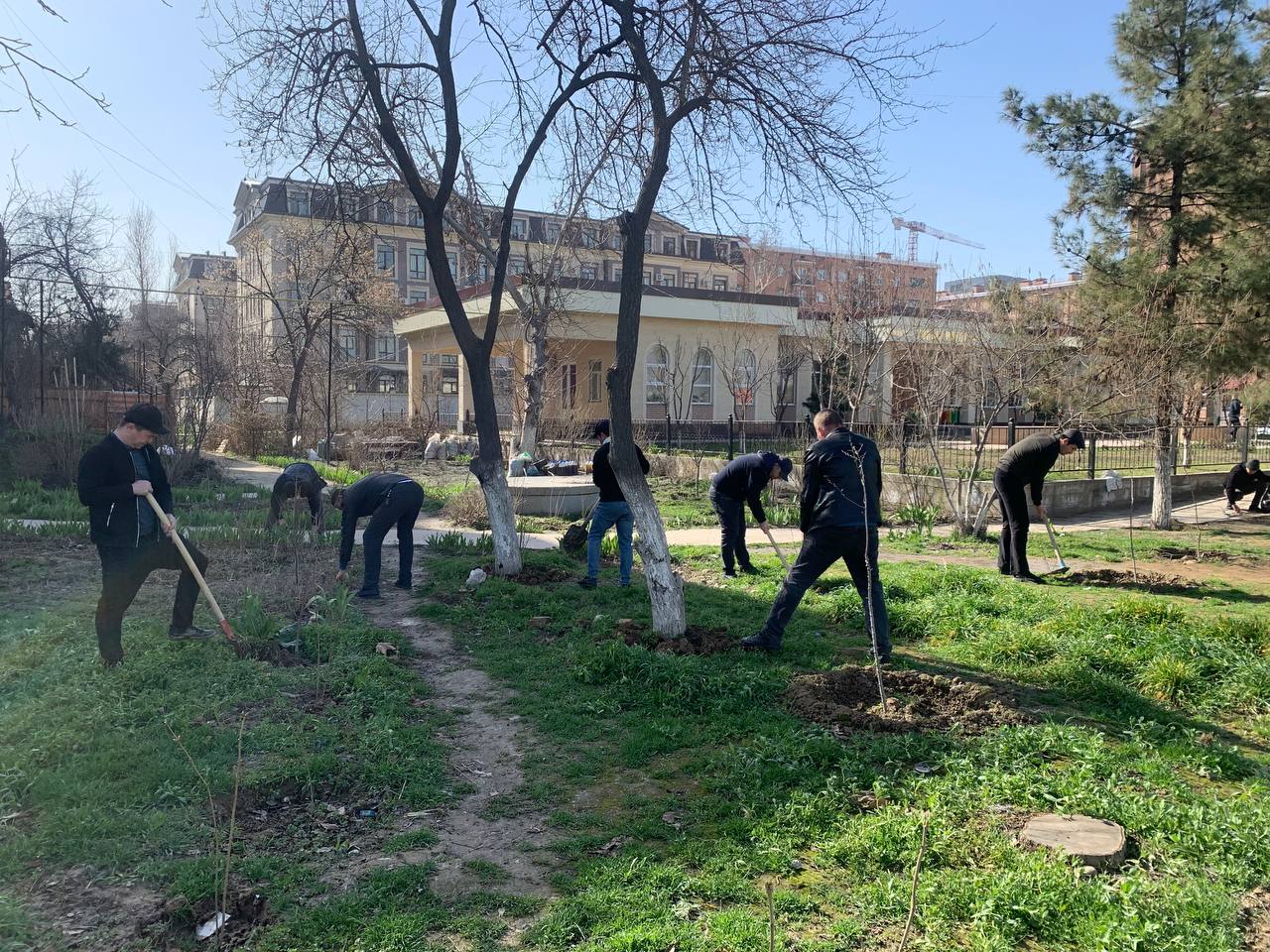 photo2024-03-1811-11-05