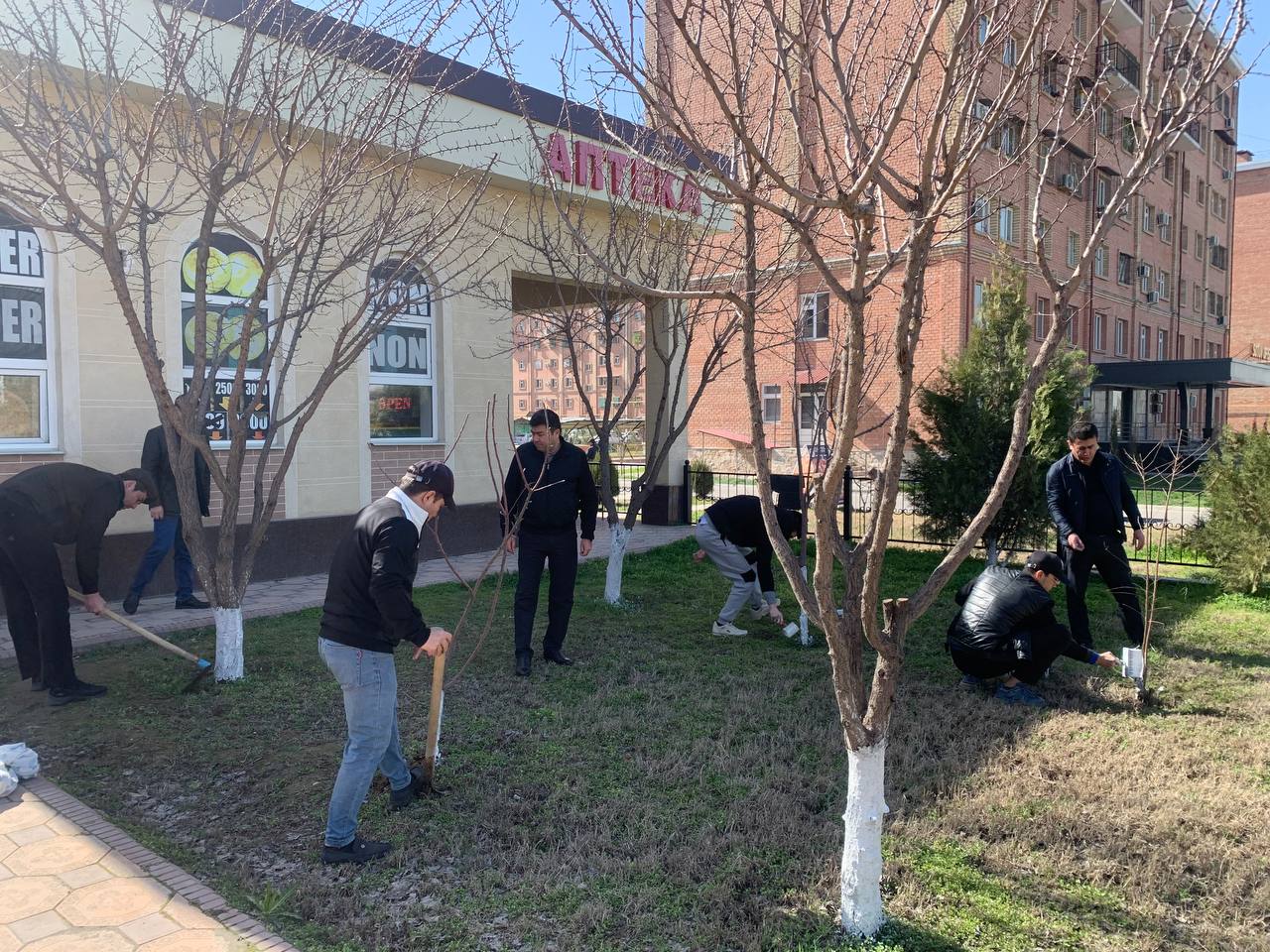 photo2024-03-1811-11-18