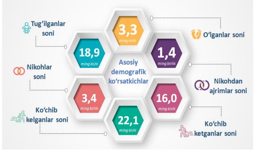 11-demografik
