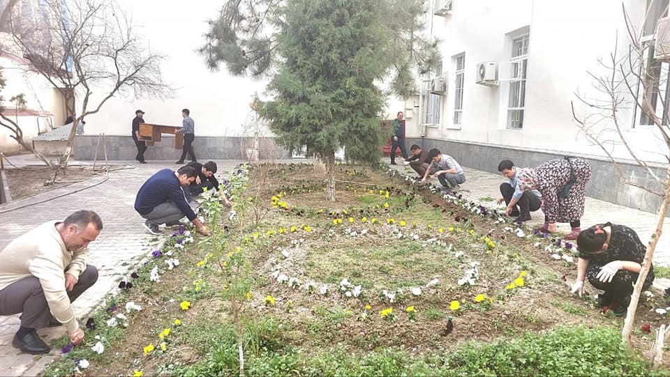 11-xashar
