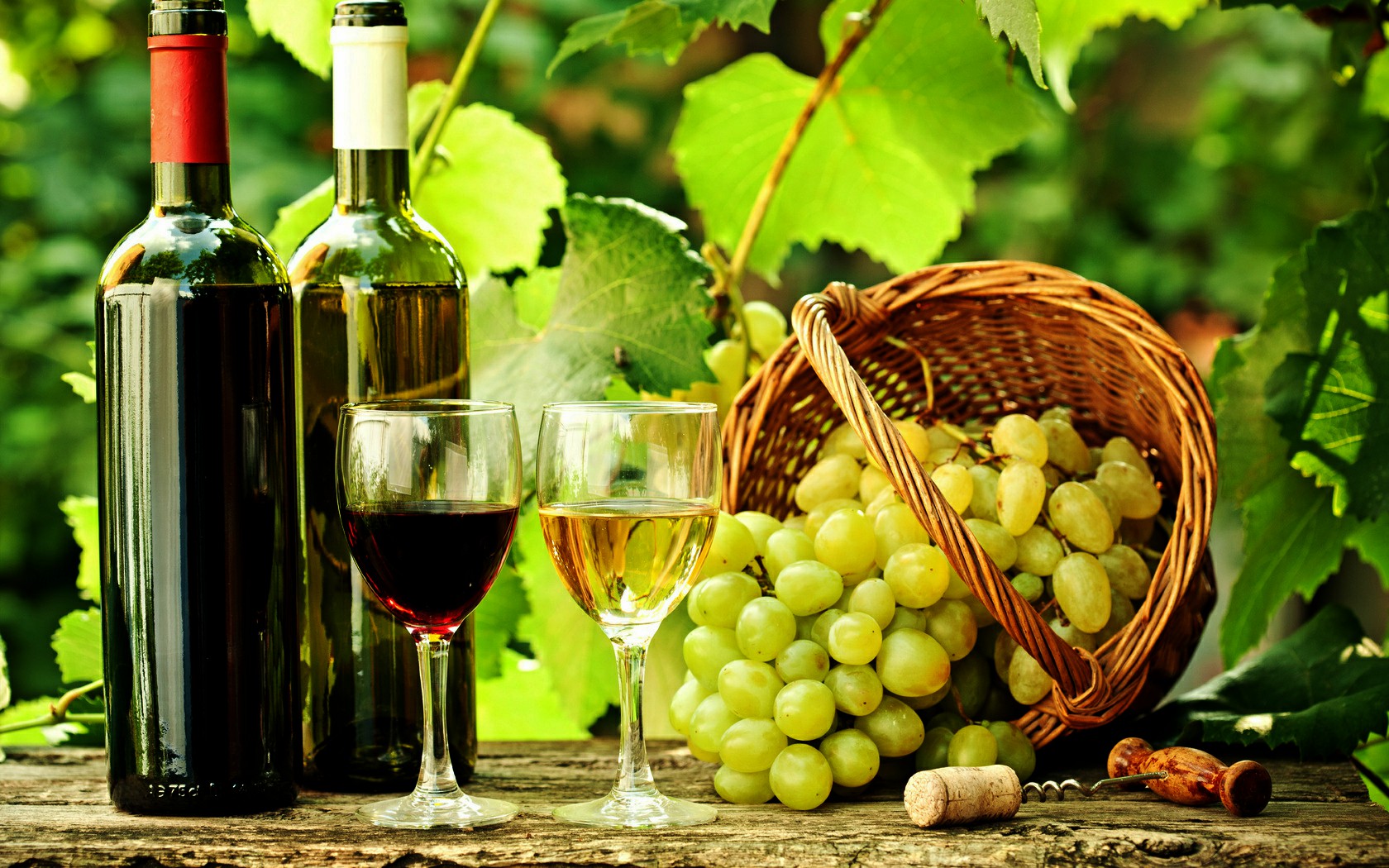 23-vino