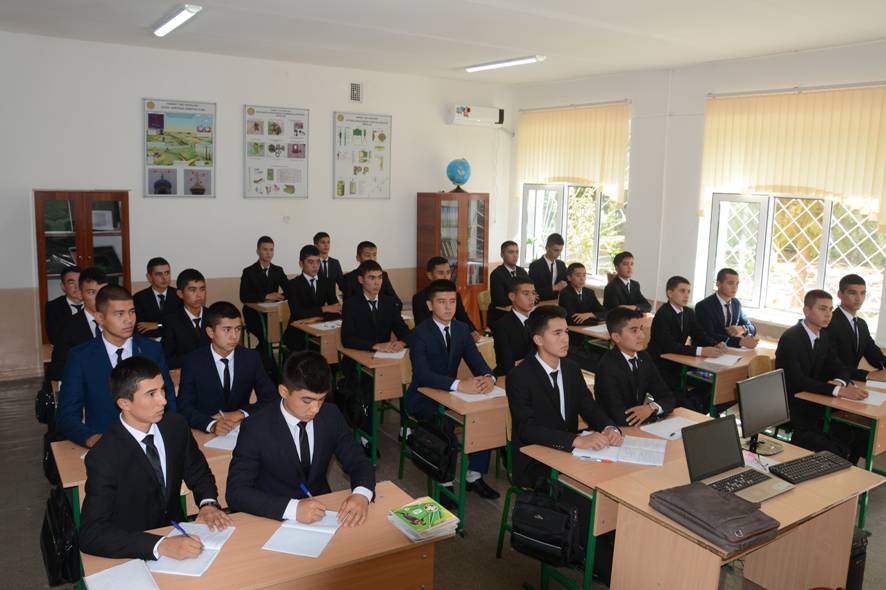 3-litsey